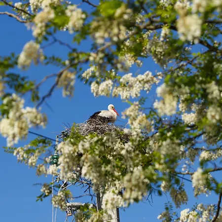 Logis Thermal Hotel 3*