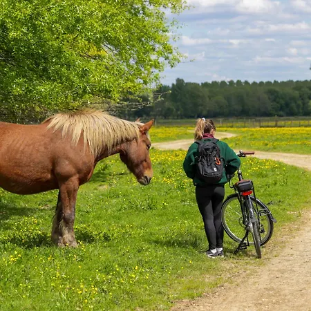 Hotel Logis Thermal 3*