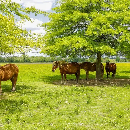 Hotel Logis Thermal Saubusse