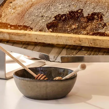 Logis Thermal 3* Saubusse