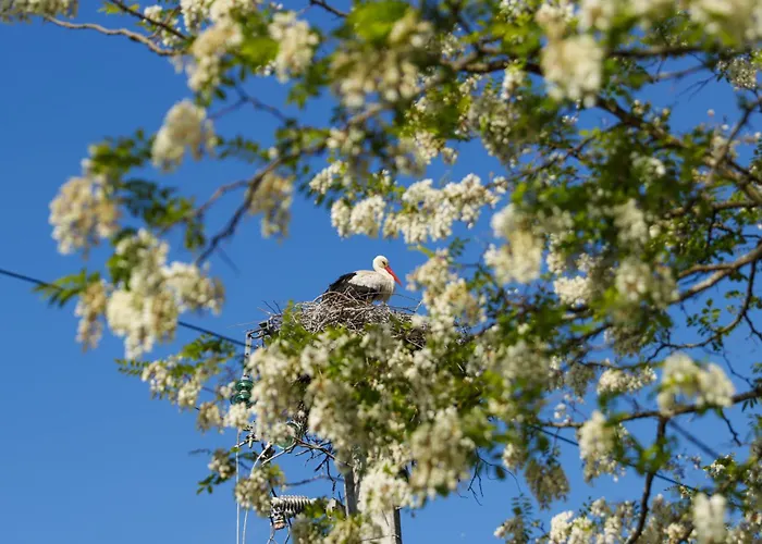 Logis Thermal Hotel 3*