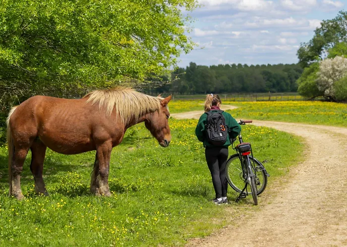 Hotel Logis Thermal 3*