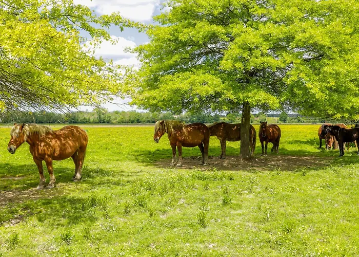 Hotel Logis Thermal Saubusse